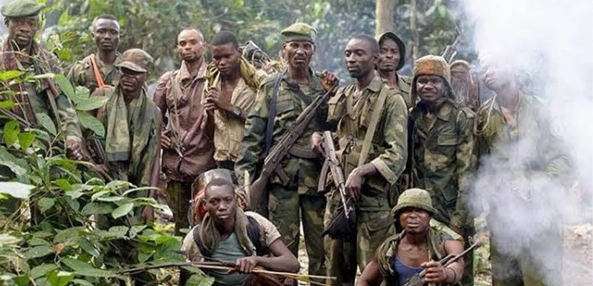 WAZALENDO Combattants Wazalendo