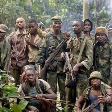 WAZALENDO Combattants Wazalendo