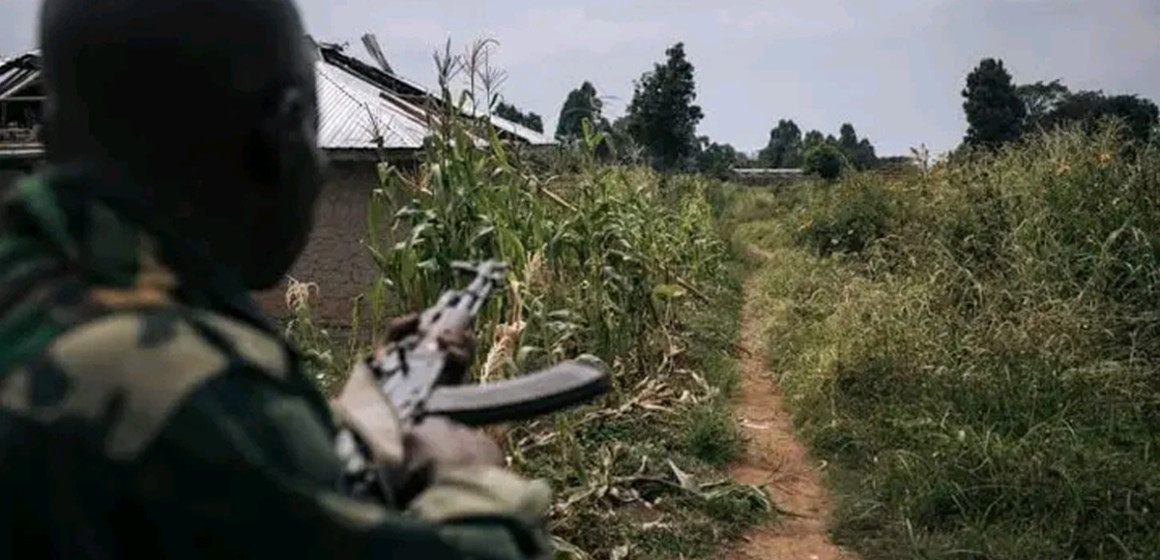 Affrontements FARDC/M23 RDF à Masisi