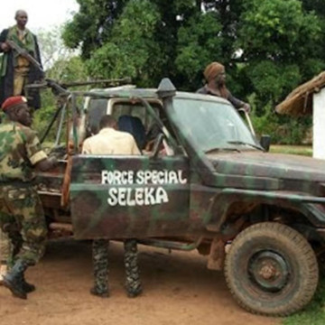 Rebelles centrafricains de la Seleka