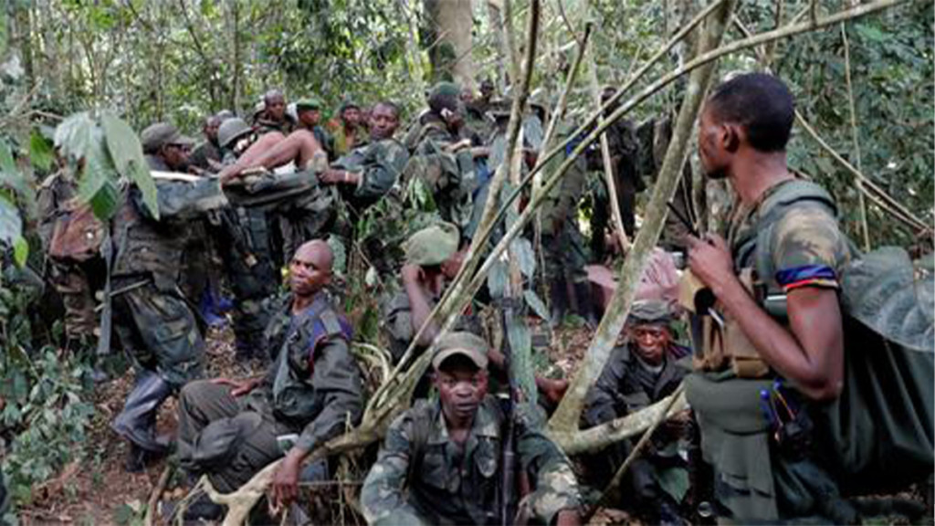combattants d'un groupe armé opérant en RDC