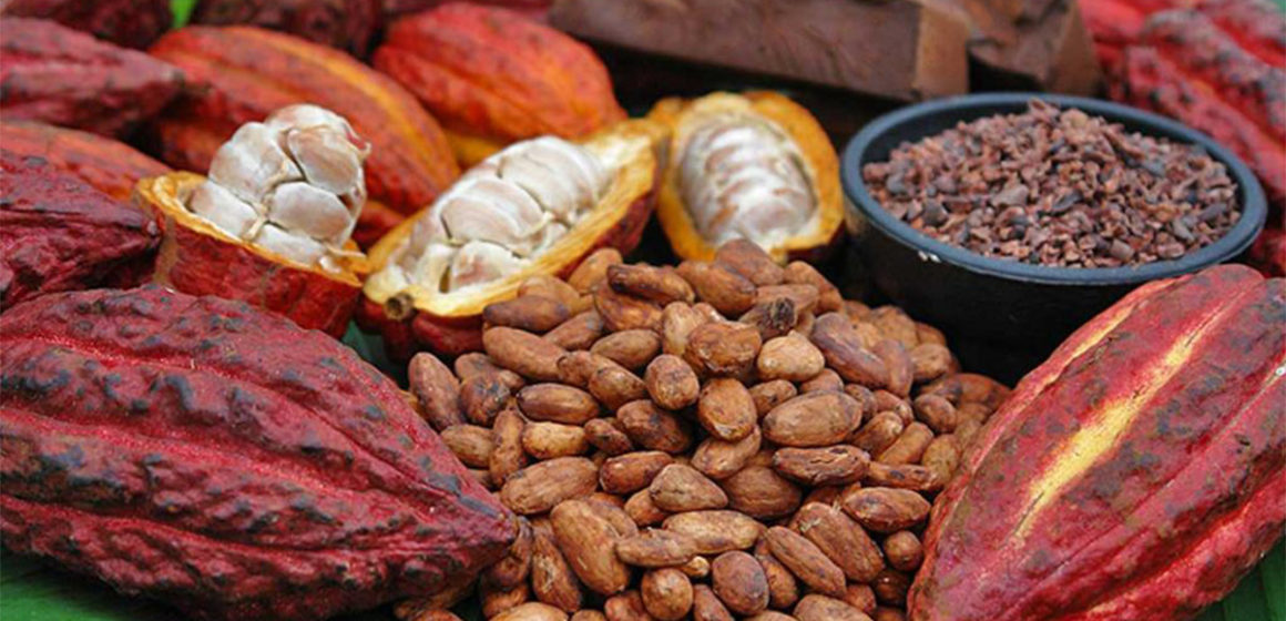 Cacao produit en RDC