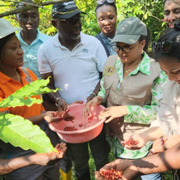 Présentation du café Petit Kwilu