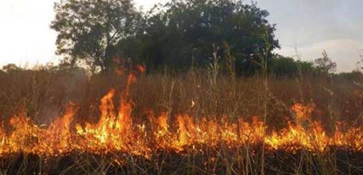 feu-de-brousse-kimvula Feu de brousse à Kimvula