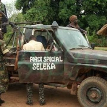 Rebelles centrafricains