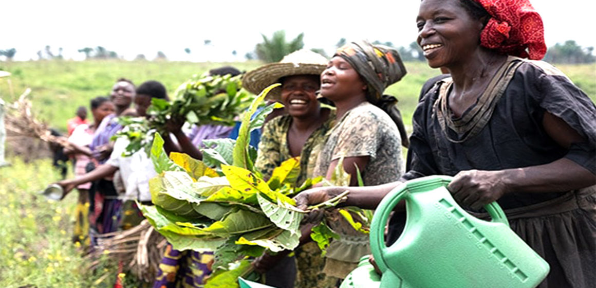 crise alimentaire au Kasai en RDC
