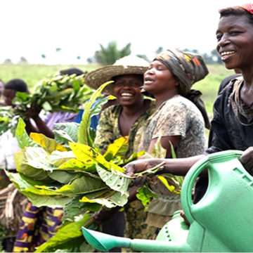 crise alimentaire au Kasai en RDC