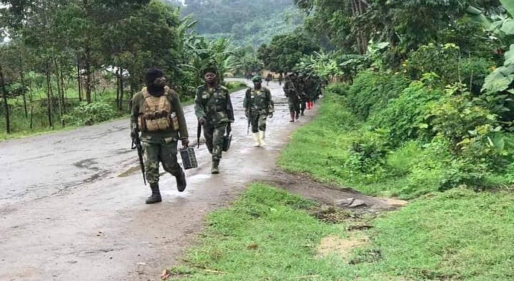 Rebelles du M23 au parc national des Virunga
