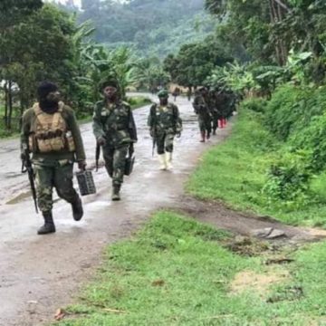 Rebelles du M23 au parc national des Virunga
