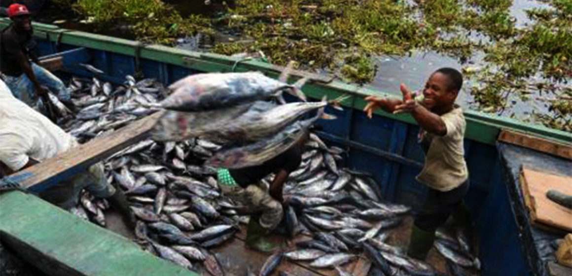 Pêche-RDC Pêche artisanale en RDC