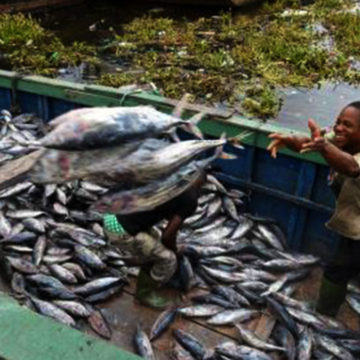 Pêche artisanale en RDC