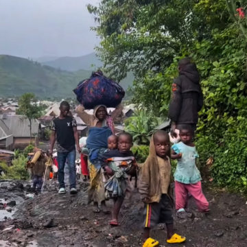Sake population en fuite